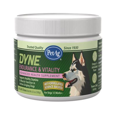 PetAg Dyne Soft Chew Endurance