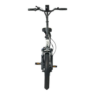 Image showing 5 th GoPowerBike GoExpress V2 Electric Bike Adult Folding Ebike