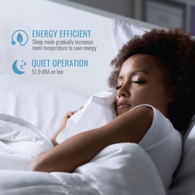 Image showing  6,000 BTU 115V Window Air Conditioner Cools 250 sq. ft. with Dehumidifier and Remote