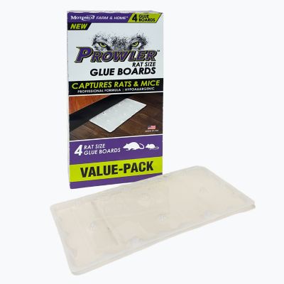 Prowler Rat Glue Boards 4 pk., Value Pack