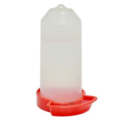 Hatching Time Chick Starter Drinker, 25 oz. Corner