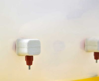 Image showing  Nipple Reservoir Drinker