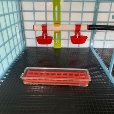 Image showing 2 th Hatching Time Automatic Nipple Cup, Small