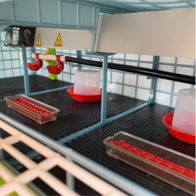 Image showing 3 th Hatching Time Automatic Nipple Cup, Small