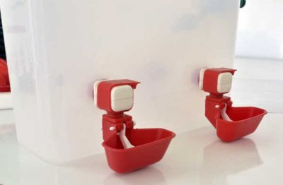 Image showing  Nipple Cup Reservoir Drinker With Filter