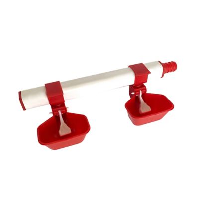 Image showing 1 th Hatching Time Automatic Nipple Cup, Large