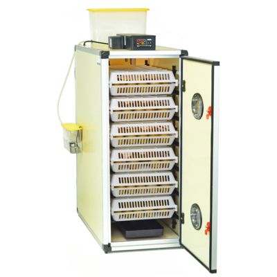 Image showing  CT Series 360 Egg Capacity (180 Set + 180 Hatch) Full Automatic Incubator Kit