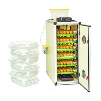 Image showing  CT Series 360 Egg Capacity (180 Set + 180 Hatch) Full Automatic Incubator Kit