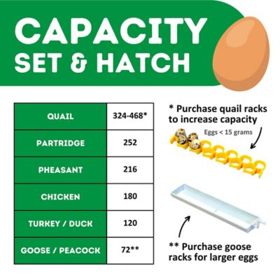 Image showing  CT Series 360 Egg Capacity (180 Set + 180 Hatch) Full Automatic Incubator Kit
