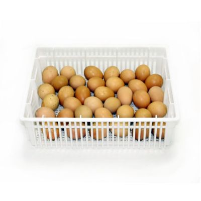 Hatching Time Incubator Hatching Basket Fits 35 Chicken Eggs