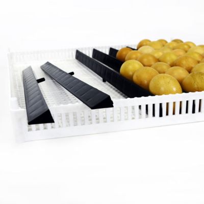 Image showing 1 th Hatching Time Separator for Egg Setter Tray Fits Flexy80, 10 pk.
