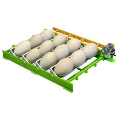 Image showing  Goose Peacock Egg Rack Fits Conturn Egg Setter, 1 pk.