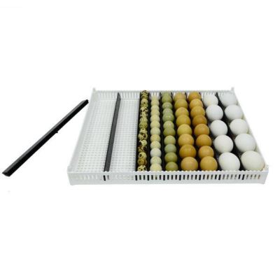 Hatching Time Egg Setter Tray, Flexy80ST, Cover Sold Separately