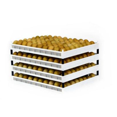 Image showing  Egg Setter Tray, Flexy80ST, Cover Sold Separately