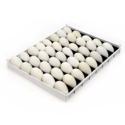 Image showing  Egg Setter Tray, Flexy80ST, Cover Sold Separately
