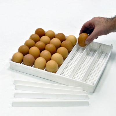 Image showing  Separator for Egg Setter Tray Fits Flexy35y, 10 pk.