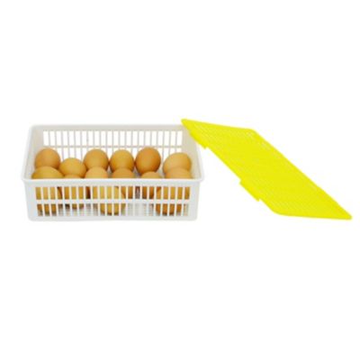 Image showing  Incubator Hatching Basket Fits 15 Chicken Eggs