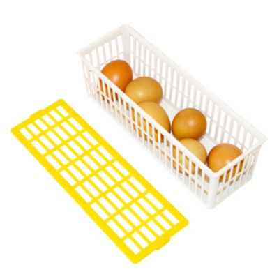 Image showing  Incubator Hatching Basket Fits 6 Chicken Eggs