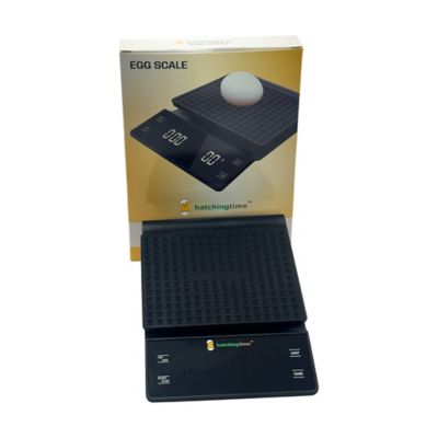 Image showing  Digital Egg and Kitchen Scale, 6.6 lb. Capacity