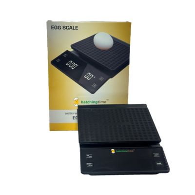 Image showing  Digital Egg and Kitchen Scale, 6.6 lb. Capacity