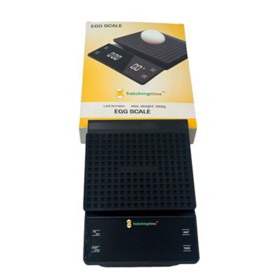 Image showing  Digital Egg and Kitchen Scale, 6.6 lb. Capacity