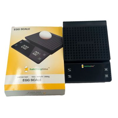 Image showing  Digital Egg and Kitchen Scale, 6.6 lb. Capacity