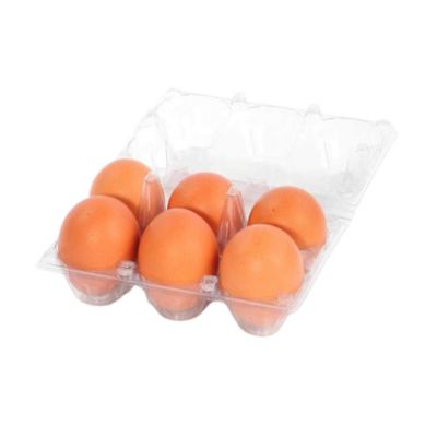 Image showing  1 Pack Clear Plastic Egg Cartons for 6 Chicken Eggs