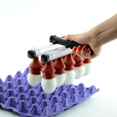 Image showing  Vacuum Egg Lifter, 10 Eggs, Manual
