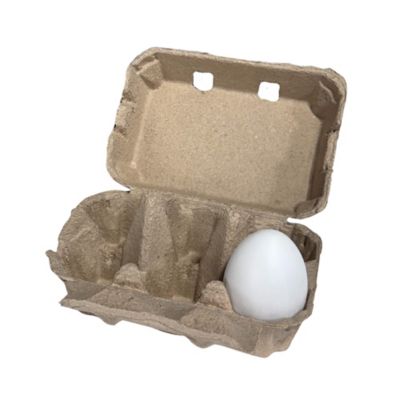Hatching Time 1 Pack Natural Pulp, Flat Top Blank Egg Cartons for 6 Chicken Eggs