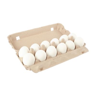 Hatching Time 1 Pack Natural Pulp, Flat Top Blank Egg Cartons for 12 Chicken Eggs