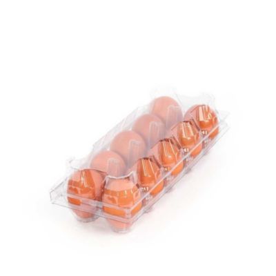 Image showing  1 Pack Clear Plastic Egg Cartons for 10 Chicken Eggs