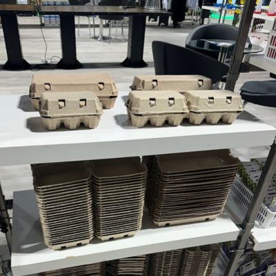 Image showing  1 Pack Natural Pulp, Flat Top Blank Egg Cartons for 10 Chicken Eggs