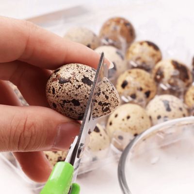 Image showing  Quail Egg Scissors