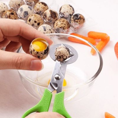 Image showing 5 th Hatching Time Quail Egg Scissors