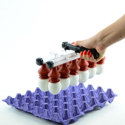 Image showing  Vacuum Egg Lifter, 12 Eggs, Manual