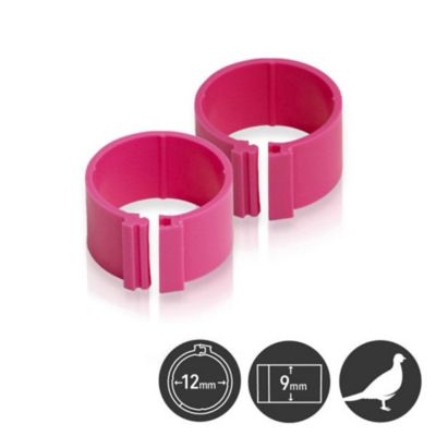 Hatching Time Poultry Leg Bands 12mm Pack Of 25, Pink