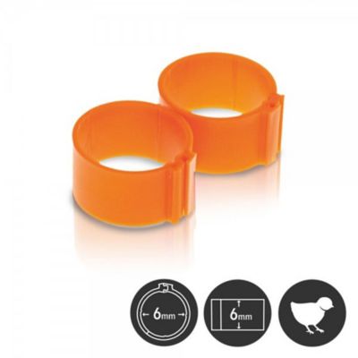 Hatching Time Poultry Leg Bands 6 mm Pack Of 25, Orange
