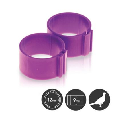 Hatching Time Poultry Leg Bands 12mm Pack Of 25, Purple