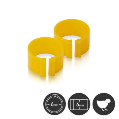 Hatching Time Poultry Leg Bands 6 mm Pack Of 25, Yellow