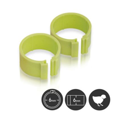 Hatching Time Poultry Leg Bands 6mm Pack Of 25, Green