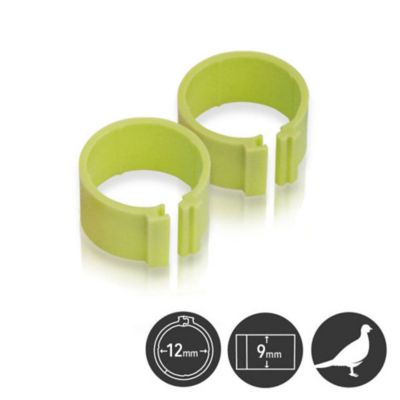 Hatching Time Poultry Leg Bands 12mm Pack Of 25, Green