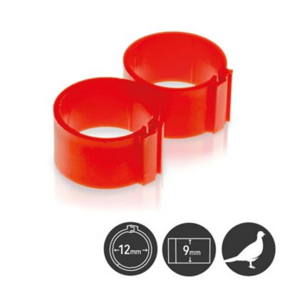 Hatching Time Poultry Leg Bands 12mm Pack Of 25, Red