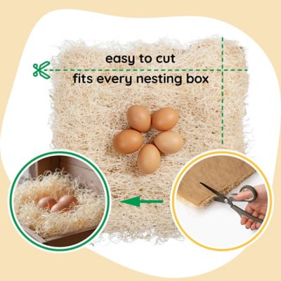 Image showing 5 th Hatching Time Premium Nesting Pads For Poultry, 10 pk.