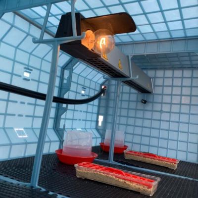 Image showing  Chick Brooder Automatic Heater Ht03e