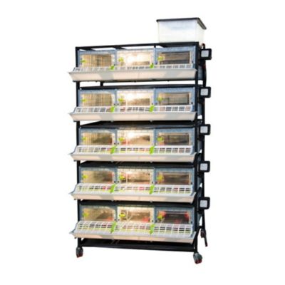 Image showing  Comfortplast Chick Brooder, 5 Layer H 9.5 in., 3 Section Per Layer