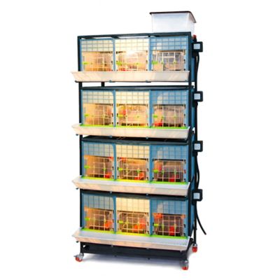 Image showing  Comfortplast Chick Brooder, 4 Layer H 15 in., 3 Section Per Layer
