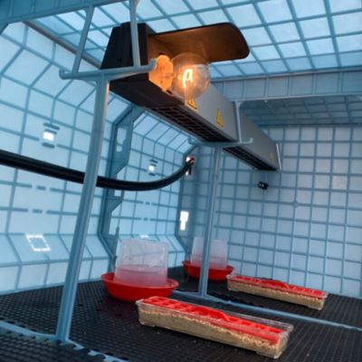 Image showing  Comfortplast Chick Brooder, 4 Layer H 15 in., 3 Section Per Layer