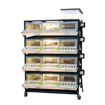 Image showing  Comfortplast Chick Brooder, 4 Layer H 9.5 in., 3 Section Per Layer