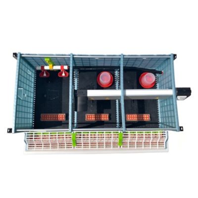 Image showing  Comfortplast Chick Brooder, 4 Layer H 9.5 in., 3 Section Per Layer