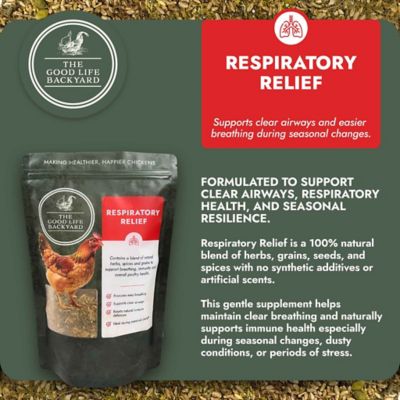 Image showing  Respiratory Relief, Spice Blend